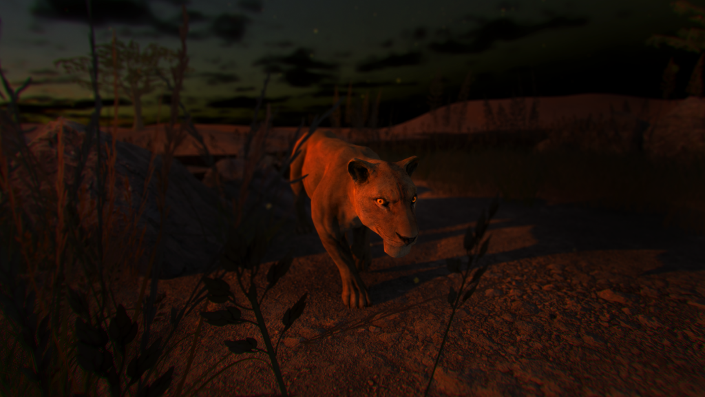 Safari360 - Lion